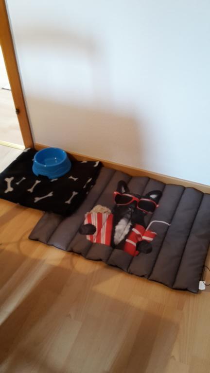 Apartment Lulu 아우리흐 외부 사진